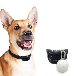 Hundehalsband